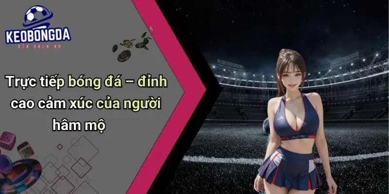 trực tiếp bóng đá