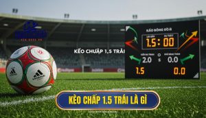 Kèo chấp 1.5 trái là gì