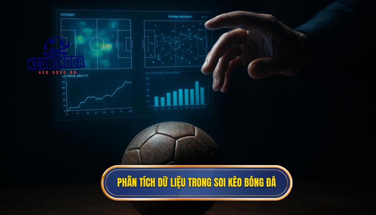 Tầm quan trọng của việc phân tích dữ liệu trong soi kèo bóng đá miễn phí