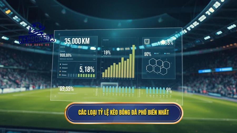 Tỷ lệ kèo bóng đá ngày mai: Cẩm nang soi kèo và phân tích từ chuyên gia 2 2. Các loại tỷ lệ kèo bóng đá phổ biến nhất