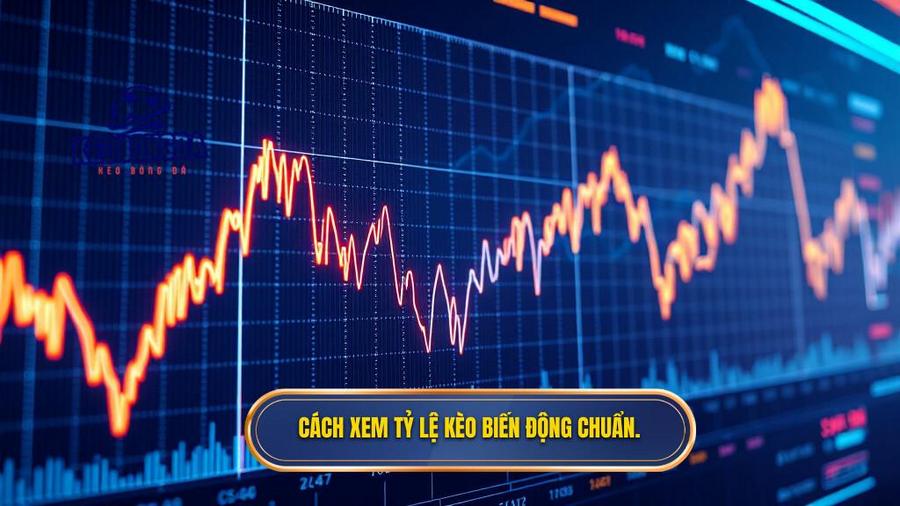 Cách xem tỷ lệ kèo biến động chuẩn.