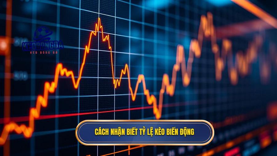 Cách nhận biết tỷ lệ kèo biến động