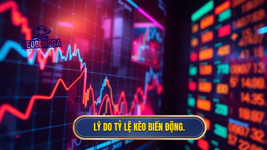 Lý do tỷ lệ kèo biến động.