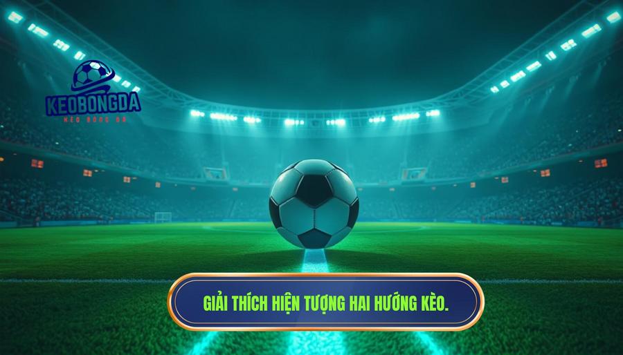 Hiểu về hiện tượng "Hai hướng kèo" trong một trận đấu