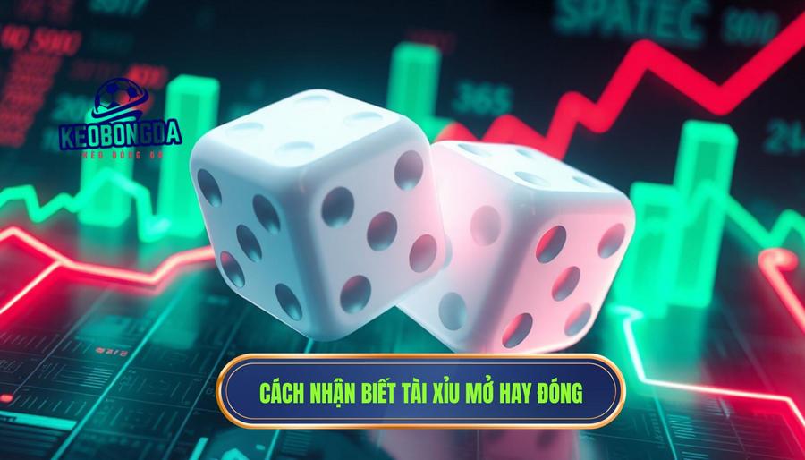 Tài xỉu trận này đang “mở” hay “đóng”? Đọc sao cho chuẩn từ góc nhìn chuyên gia 2 Các dấu hiệu nhận biết Tài xỉu trận này đang “mở” hay “đóng”? Đọc sao cho chuẩn