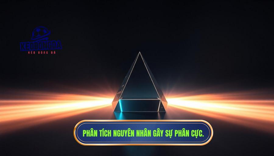 Phân tích đa chiều: Tại sao lại có sự phân cực này?